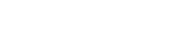 DEBTSAVINGS - LOGO - WHITE.png